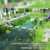 Natural Swimming Pool