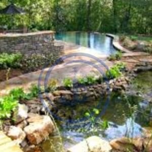 Rock Type Swimming Pool
